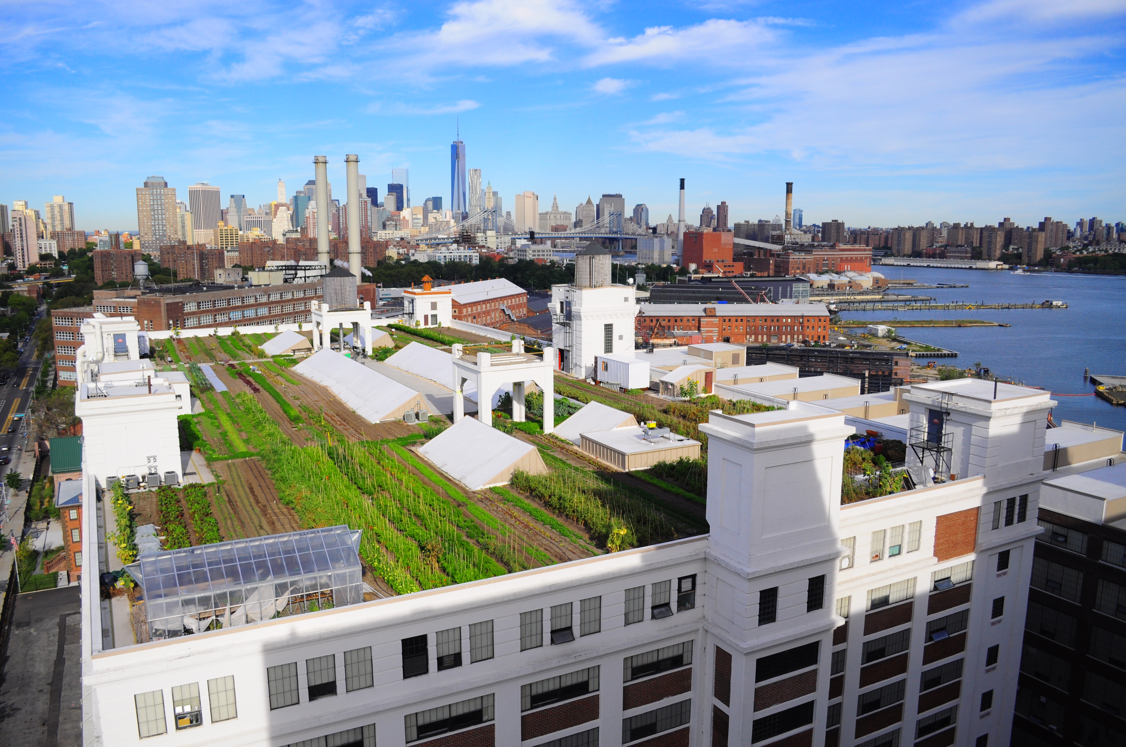 Rooftop Greenhouse at Brooklyn Grange
