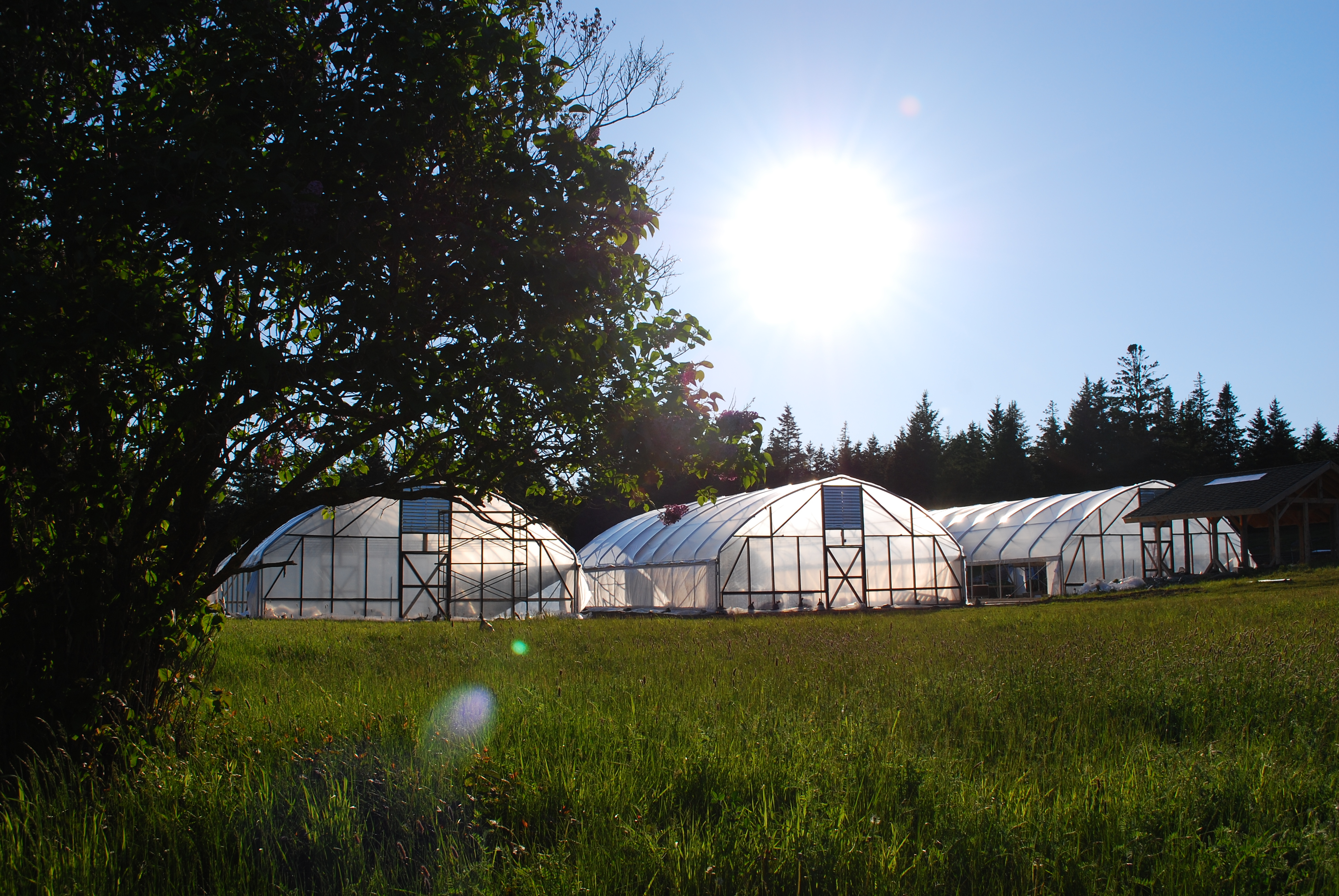 High Tunnels on North Haven Island ME
